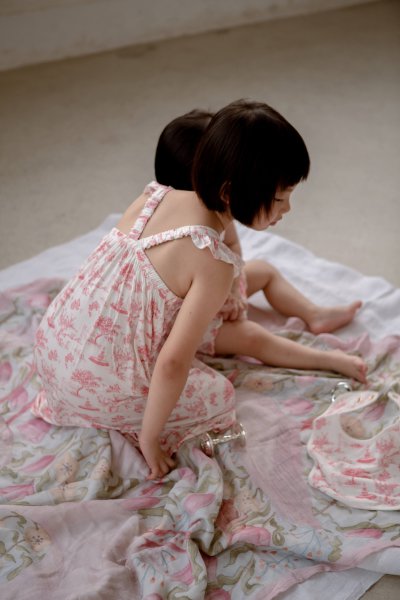 Ruffle Dress - Garden Toile (Rose)