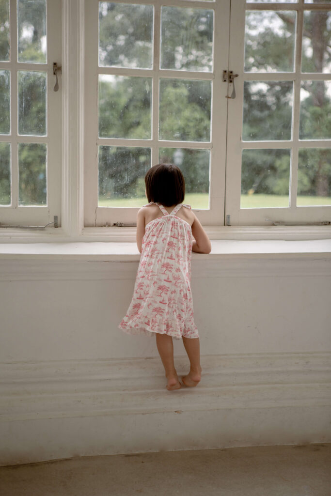 Ruffle Dress - Garden Toile (Rose), photo 2