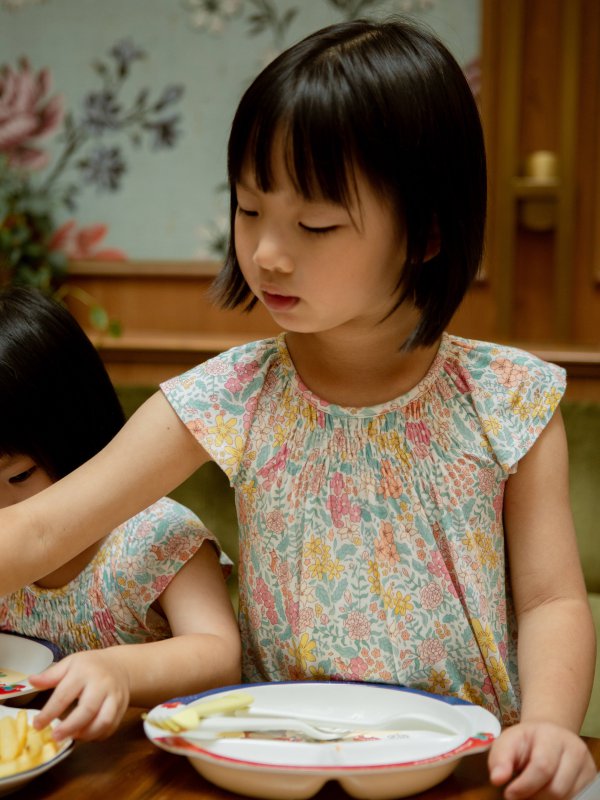 Smocked Dress (Holly en Fleurs) | House of Holly®