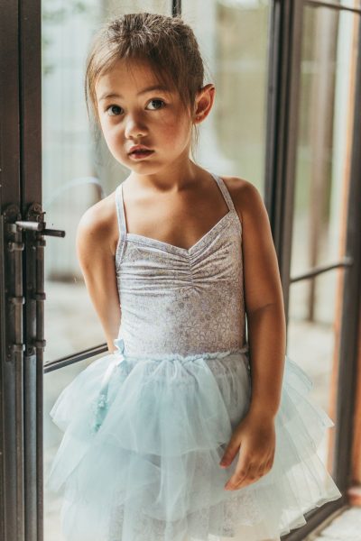 Ballerina Tulle Dress - Blue Meadows