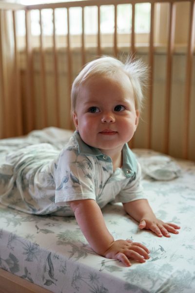 Collared Shirt Romper - Birdsong (Sage)
