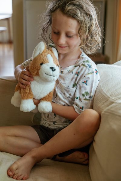Corgi Plushie (Sable Brown)